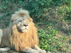 -石家庄市动物园