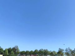 -呼兰河口湿地公园