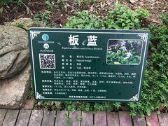 -广西壮族自治区药用植物园