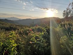 -阳台山自然风景区