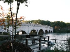 -昆山城市生态森林公园