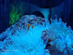 -横店影视城梦幻谷园区