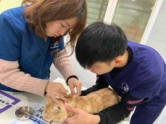 -伟伟宠物医院·CT影像中心·瑞派犬猫综合性门诊(汉口总院)
