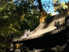 -潭柘寺景区
