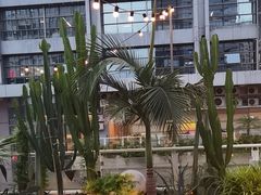 -CIAO·团建聚餐·生日派对轰趴馆(福田店)