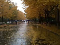 -辽宁大学(崇山校区)