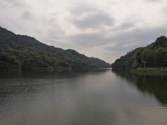 -广州市石门国家森林公园