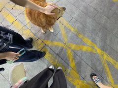 -亚龙湾亚泰商业街