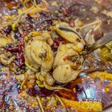 我的天…🆘大连东财这家美蛙鱼头太顶了！