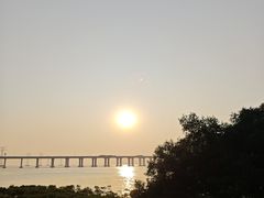 -宝安西湾红树林湿地公园