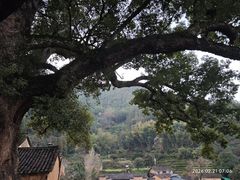 -杨家堂村