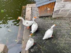 -苏州碑刻博物馆