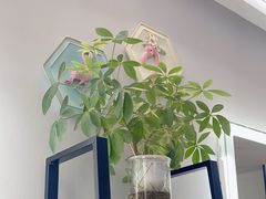 -ME觅妆·定制美妆·彩妆私教(菱角湖店)