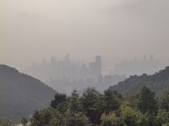 -南山植物园
