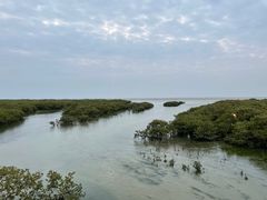 -北海金海湾红树林生态旅游区