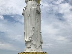 -白洋淀景区
