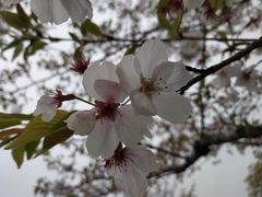 -尚贤河湿地