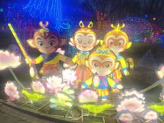 -南宫五洲植物乐园