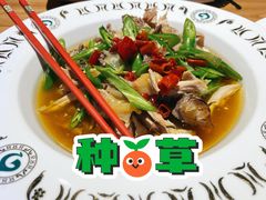 椒麻鸡-胖老汉椒麻鸡清真新疆菜(西御街店)