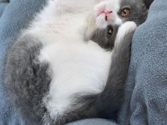 -LIN COFFEE CO(龙珠达店)