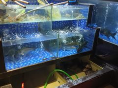 水产区-农汤老店(顺联公园里店)