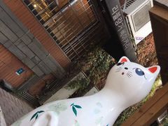 -猫咪博物馆(顶澳仔猫街店)