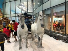 -世界之窗阿尔卑斯冰雪世界