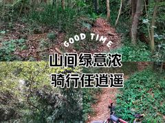 -赭山公园