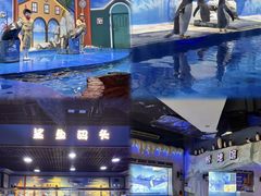 -重庆欢乐海底世界