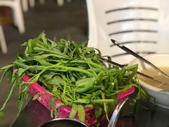 -盐禾堂海南屯昌香草鸭(总店)