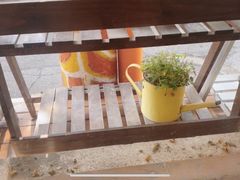 -长颈鹿咖啡(大学路店)