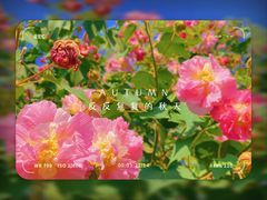 -洋湖国家湿地公园