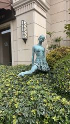 -四川米兰柏羽医学美容医院