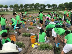 -上海多利农业发展有限公司