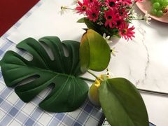 -红瓜子 影视后期 摄影摄像设计 新媒体运营技能培训(宝安校区)