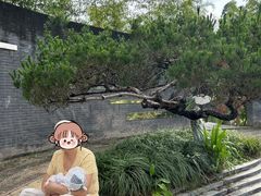 -田螺阿姨自营月嫂·育儿嫂(高新店)