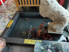 -旅马餐厅(茅家埠店)