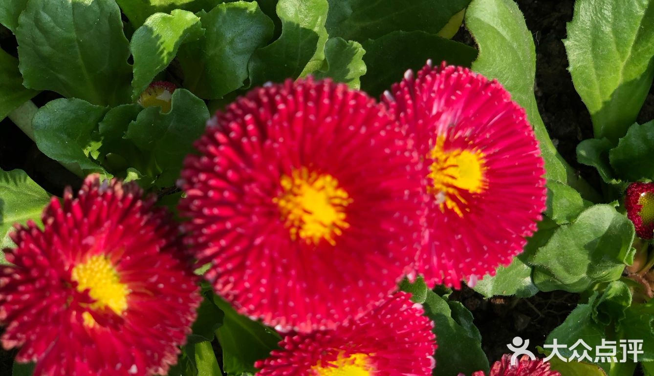 要少放盐,因为后来还要用辣酱拌饭