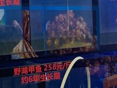 -7890+霸王甲·甲鱼爱尚蛙(坪洲店)