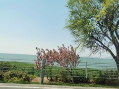 -东山风景区(洞庭东山)