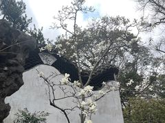 -豫园