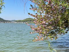 -东钱湖旅游度假区