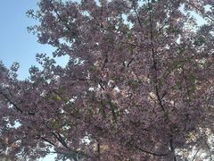 -徐家汇源景区-衡山公园