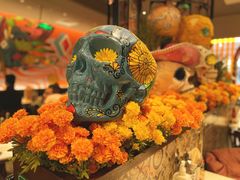 -墨纪Mojí墨西哥餐厅(官舍店)