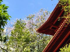 -南沙天后宫景区