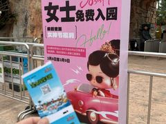 -美的鹭湖探索王国