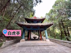 -四门塔风景区
