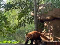 -北京野生动物园