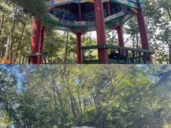 -沂蒙山旅游区云蒙景区(蒙山国家森林公园)