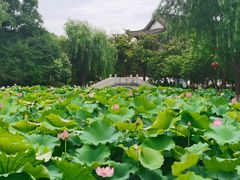 -丝绸小镇荻港古村